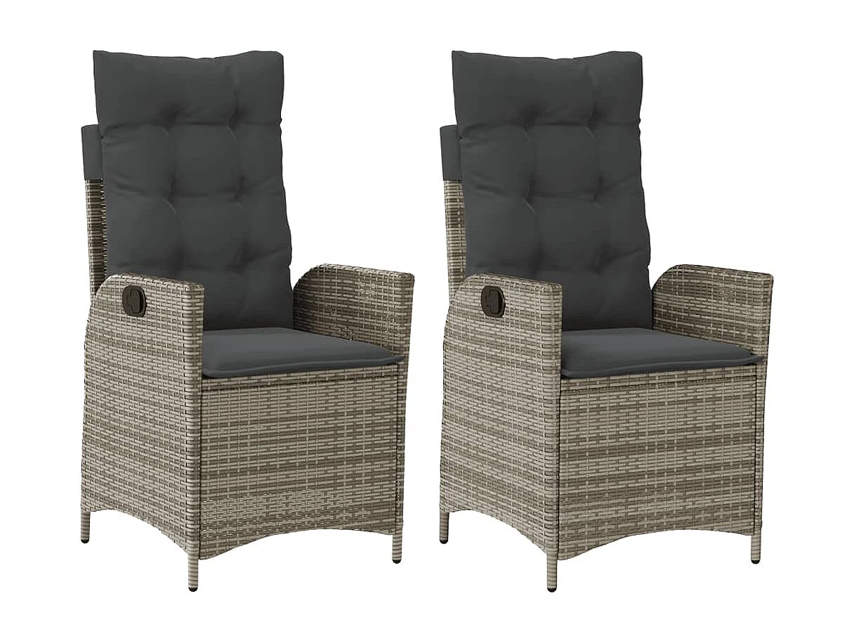 Chaises inclinables de jardin lot de 2 et coussins gris rotin