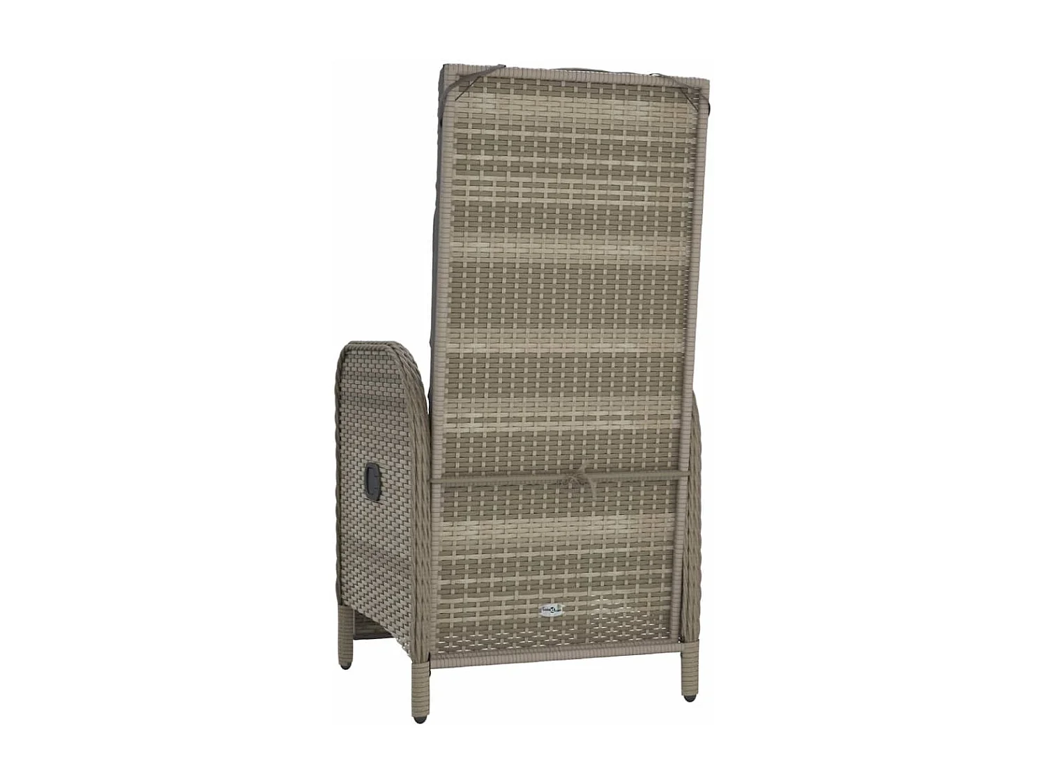 Chaises inclinables d'extérieur et coussins lot de 2 Poly rotin