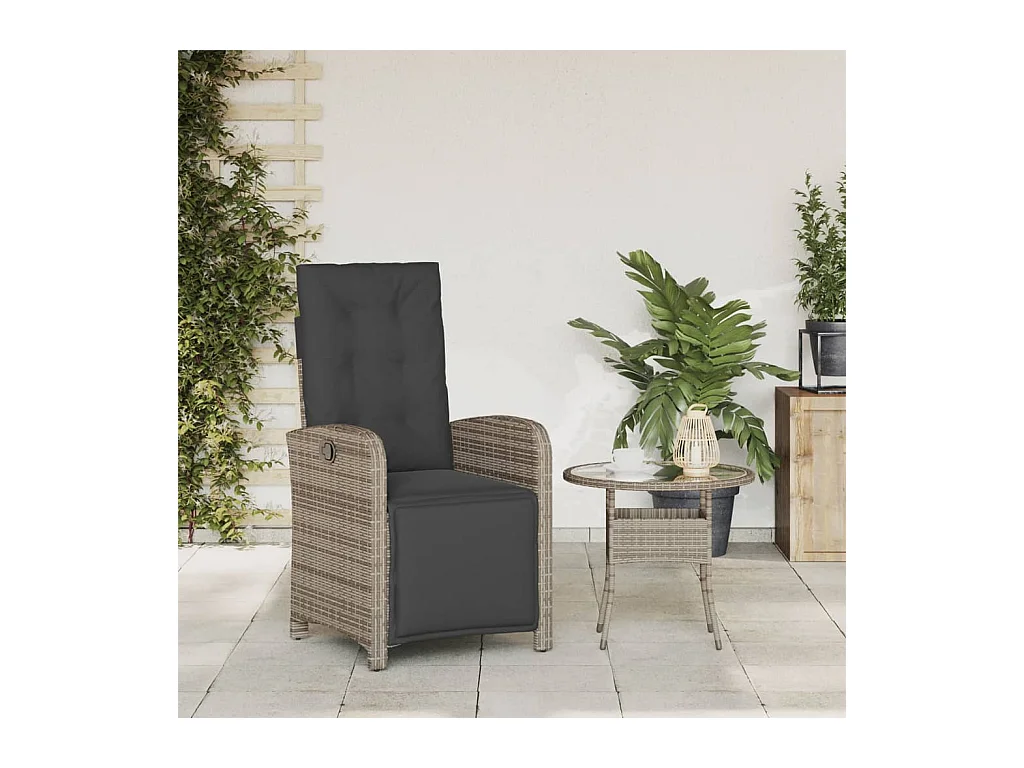 Chaise inclinable de jardin et repose-pied gris résine tressée