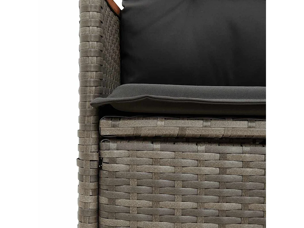 Chaises inclinables de jardin lot de 2 et coussins gris rotin