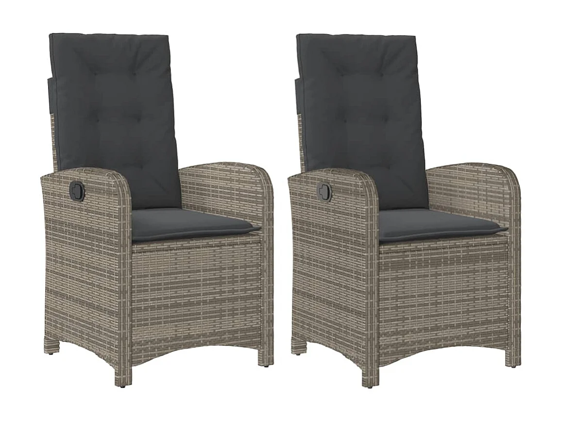 Chaises inclinables de jardin lot de 2 et coussins gris rotin