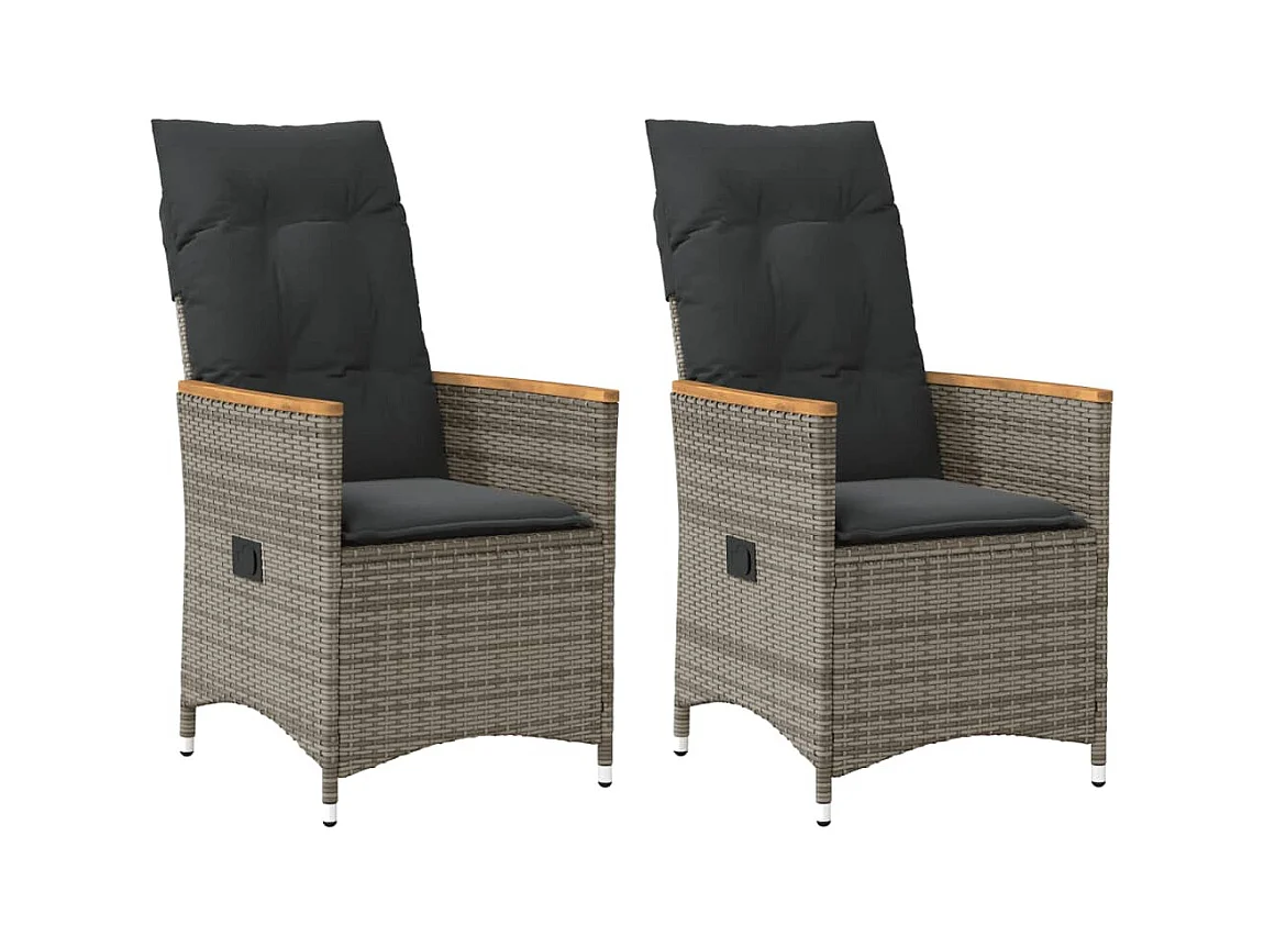 Chaises inclinables de jardin lot de 2 et coussins gris rotin