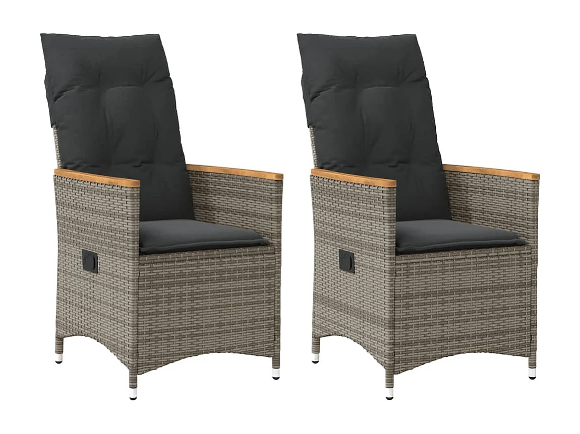 Chaises inclinables de jardin lot de 2 et coussins gris rotin