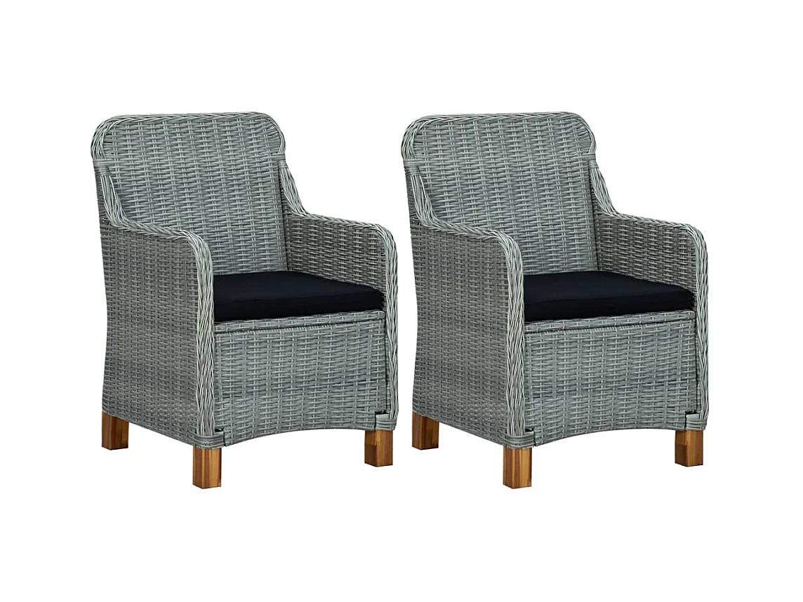 Chaises de jardin avec coussins lot de 2 Résine tressée