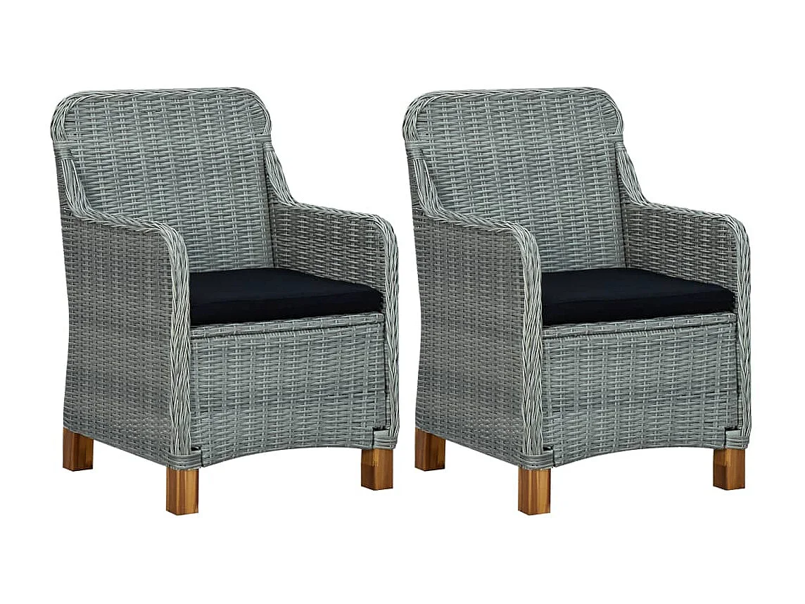 Chaises de jardin avec coussins lot de 2 Résine tressée