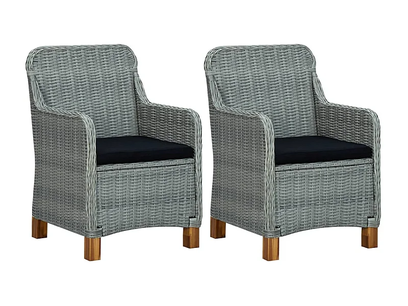 Chaises de jardin avec coussins lot de 2 Résine tressée