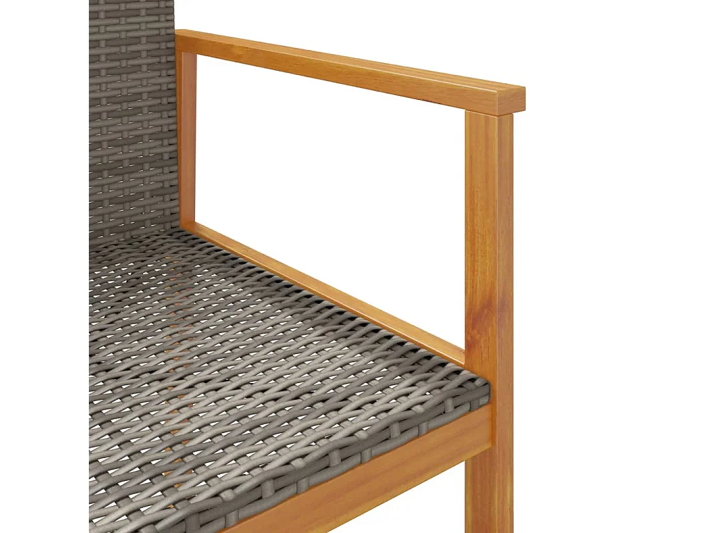 Chaises de jardin lot de 2 gris résine tressée et bois massif