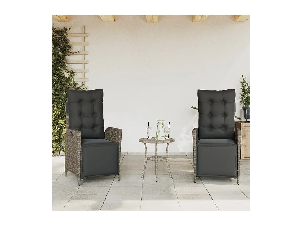 Set van 2 verstelbare tuinstoelen en rotan voetenbankje