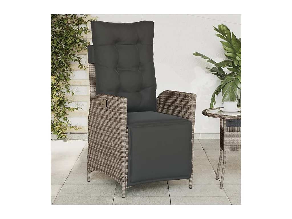 Set van 2 verstelbare tuinstoelen en rotan voetenbankje