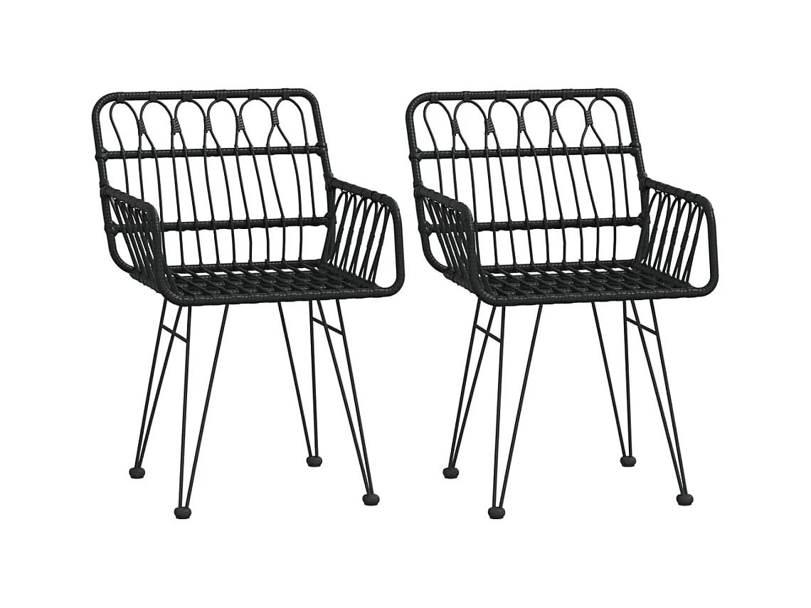 Tuinstoelen set van 2 met armleuningen Zwart 56x64x80 cm