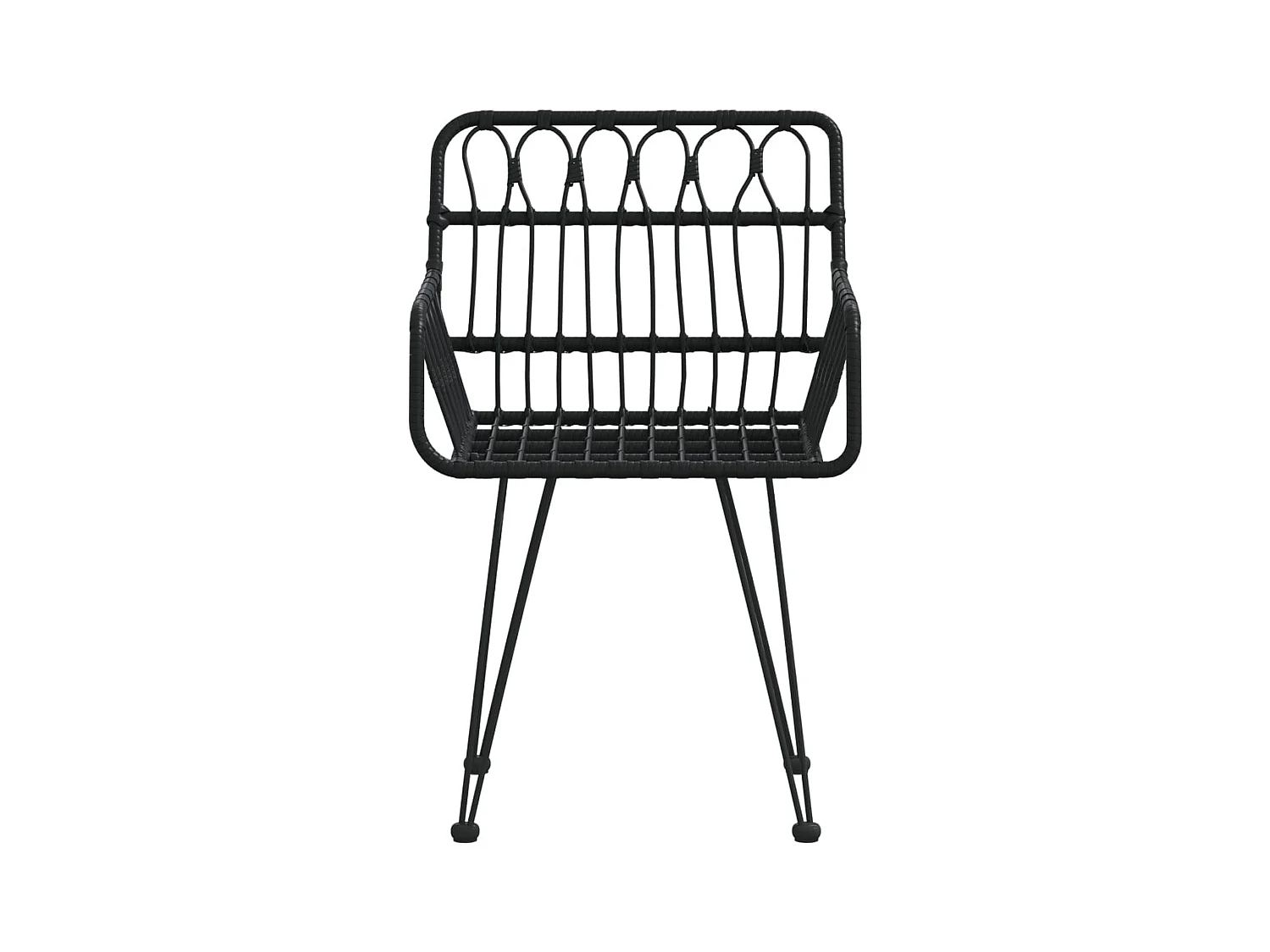 Tuinstoelen set van 2 met armleuningen Zwart 56x64x80 cm