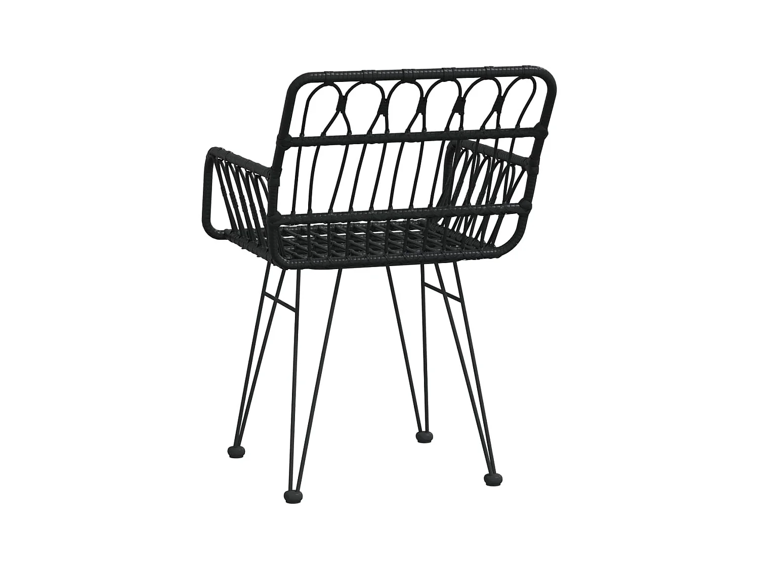 Tuinstoelen set van 2 met armleuningen Zwart 56x64x80 cm