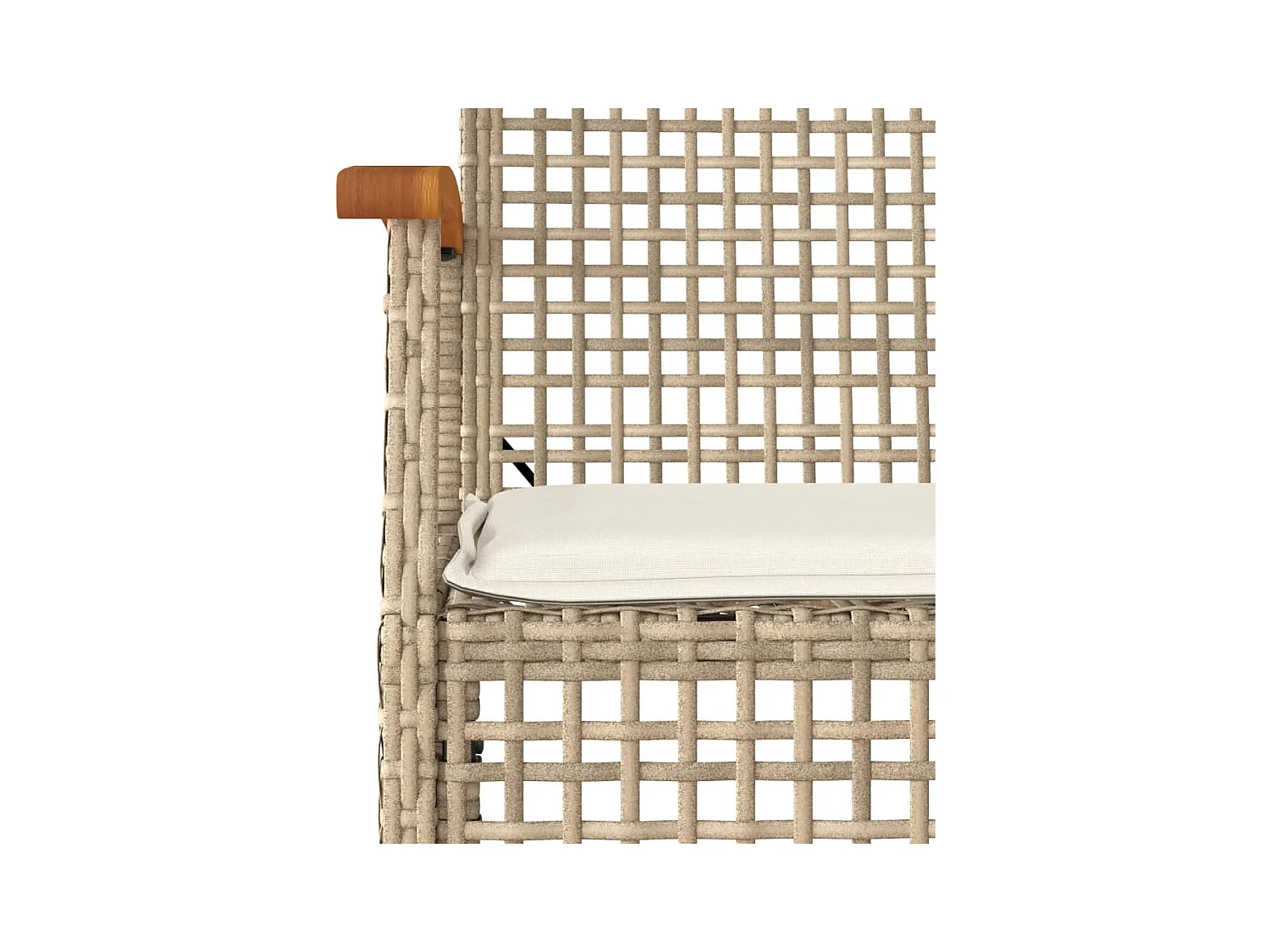 Tuinstoelen kussens set van 4 beige hars riet acacia