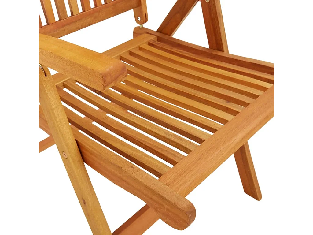 Opvouwbare tuinstoelen set van 2 massief eucalyptushout
