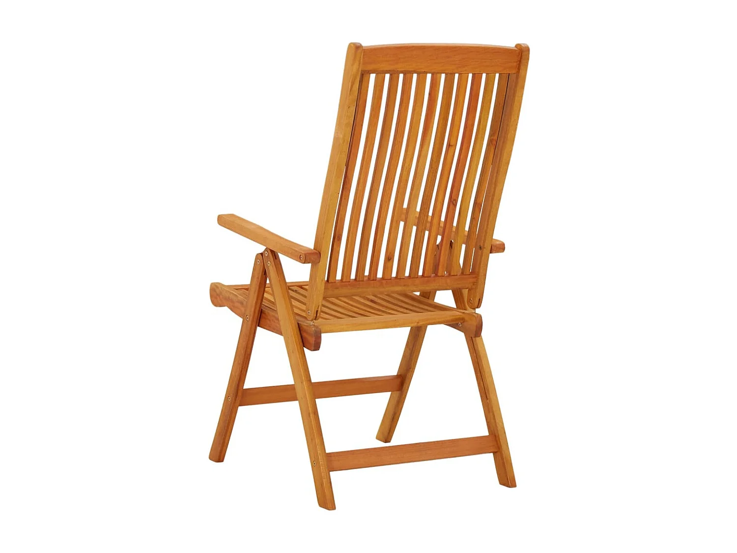 Opvouwbare tuinstoelen set van 2 massief eucalyptushout