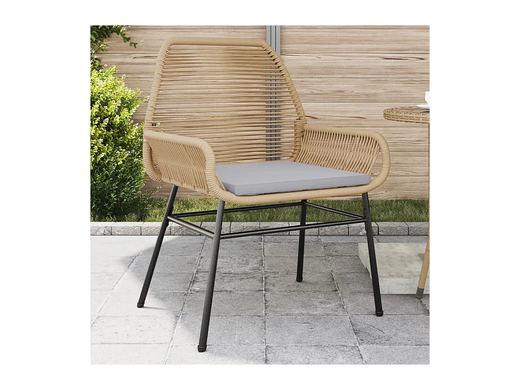 Set van 2 tuinstoelen en bruine rotan kussens