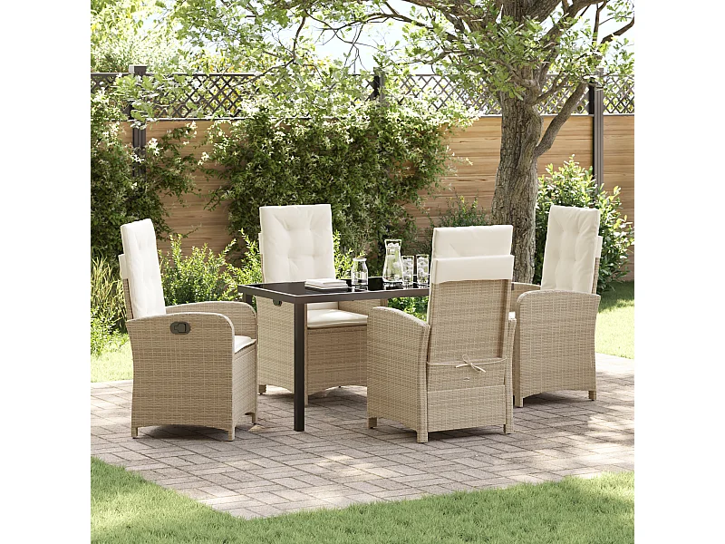 Ensemble de 5 chaises de jardin avec coussins, Rattan poly beige