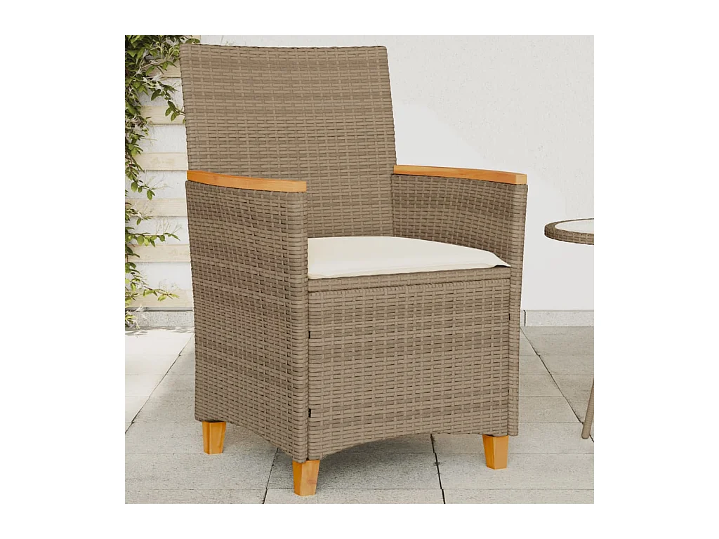 Chaises de jardin coussins lot de 2 beige résine tressée bois