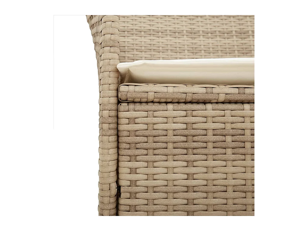 Chaises de jardin coussins lot de 2 beige résine tressée bois