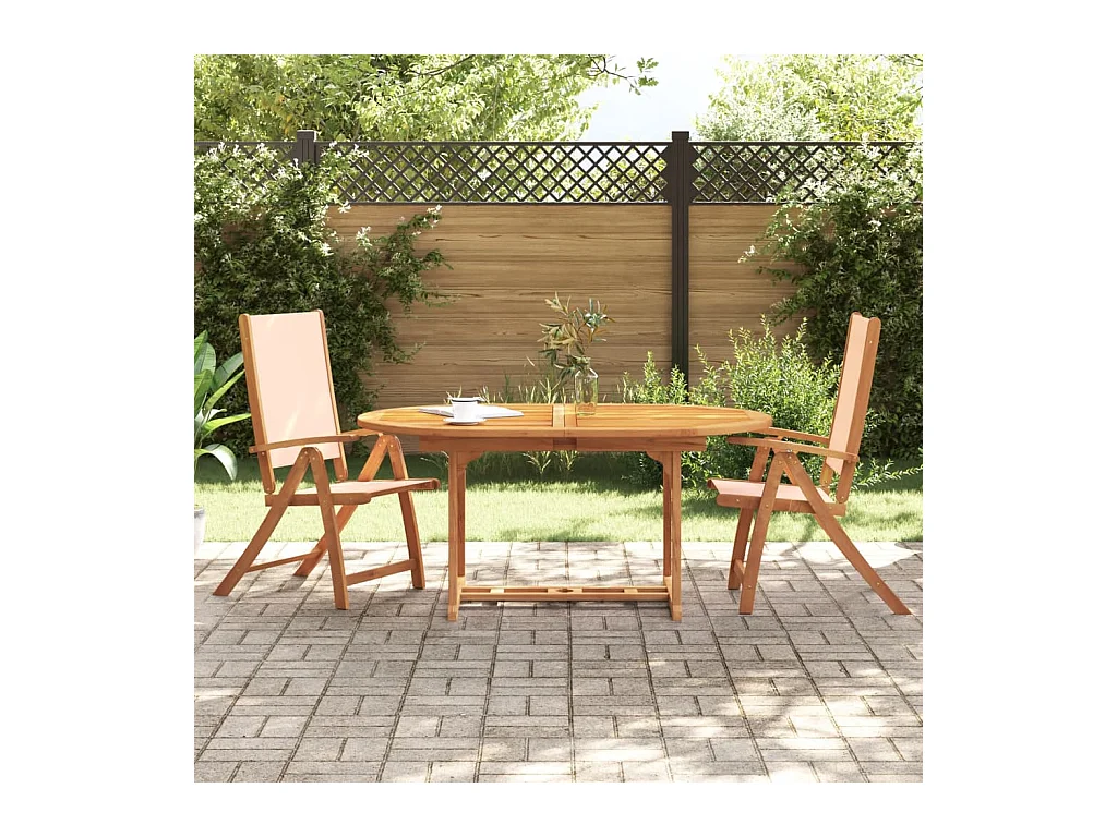 Set di 2 sedie da giardino pieghevoli in legno di acacia e textilene