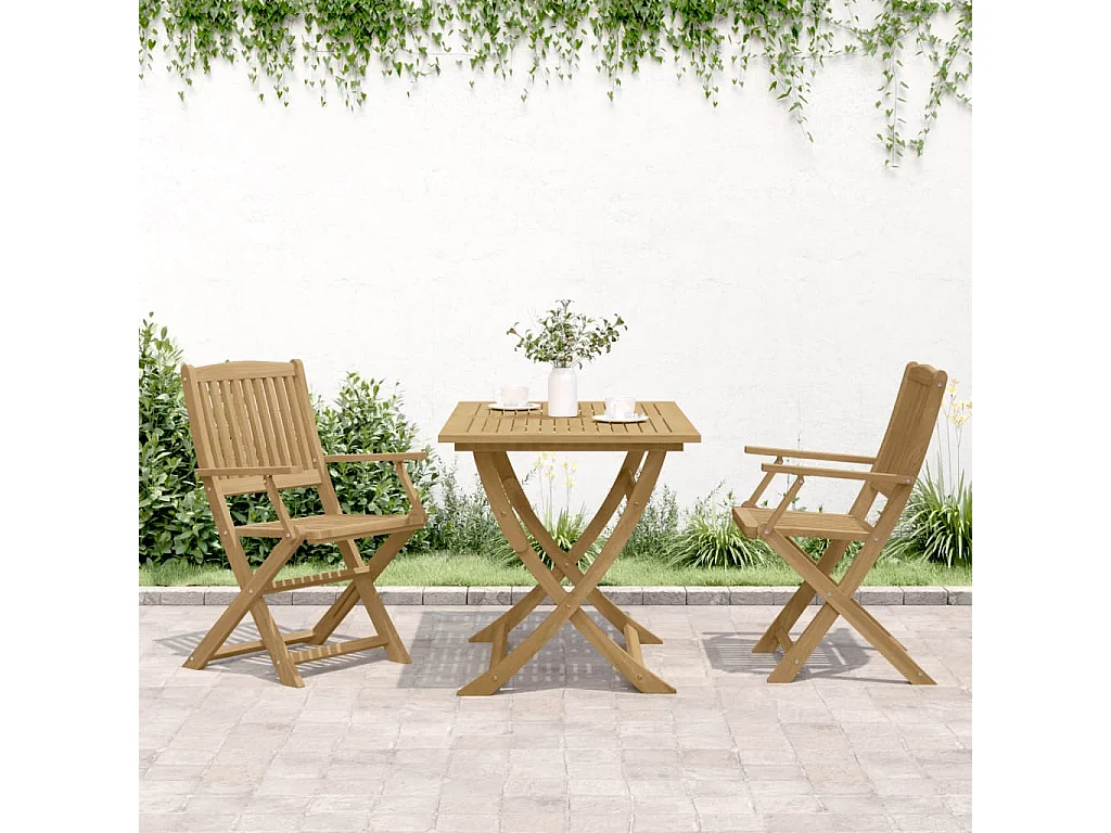 Chaises pliables de jardin lot de 2 bois massif d'acacia