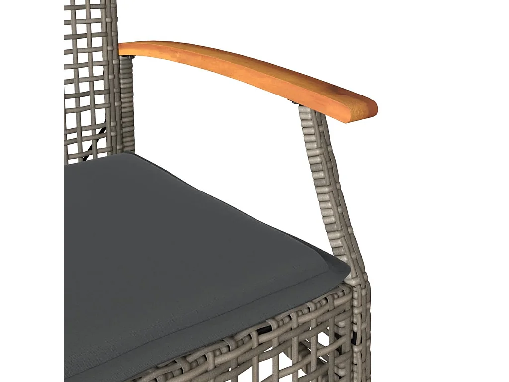 Chaises de jardin coussins lot de 4 gris résine tressée acacia