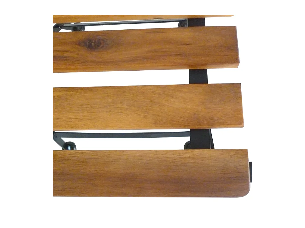 Set di 2 sedie da giardino pieghevoli in acciaio e legno massello di acacia