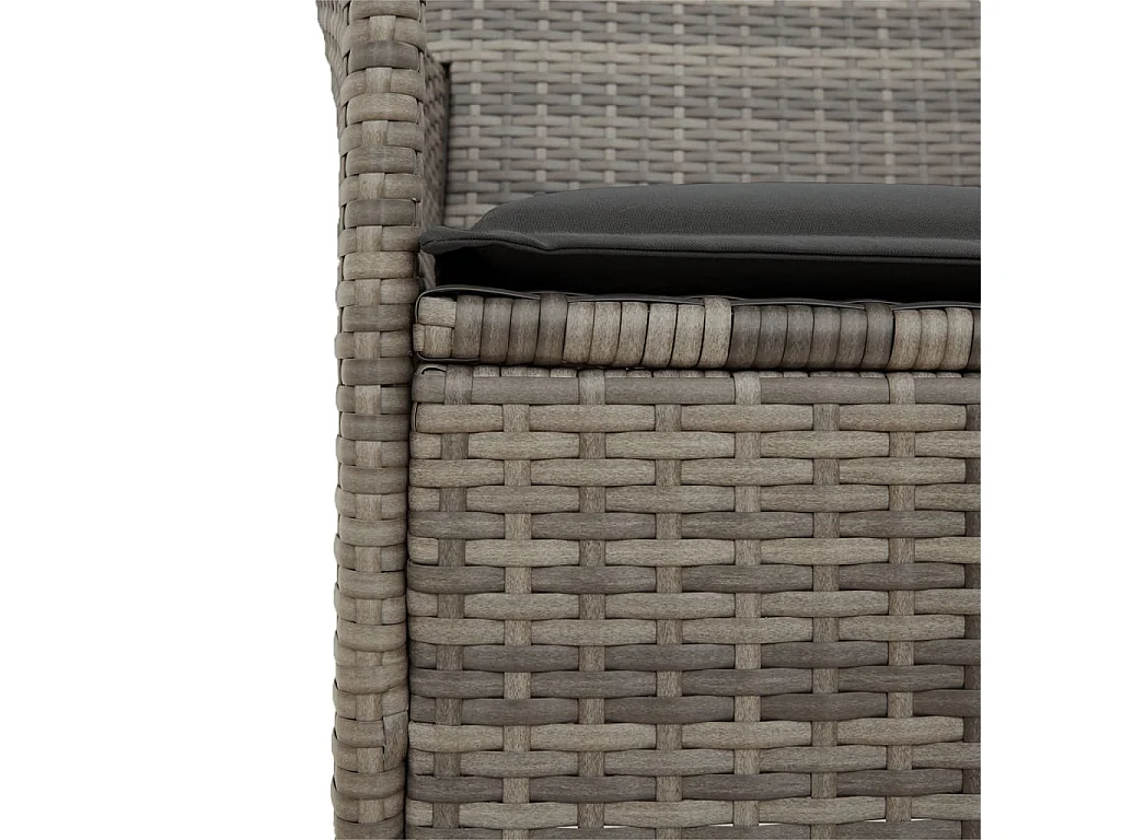 Chaises de jardin coussins lot de 2 gris résine tressée et bois