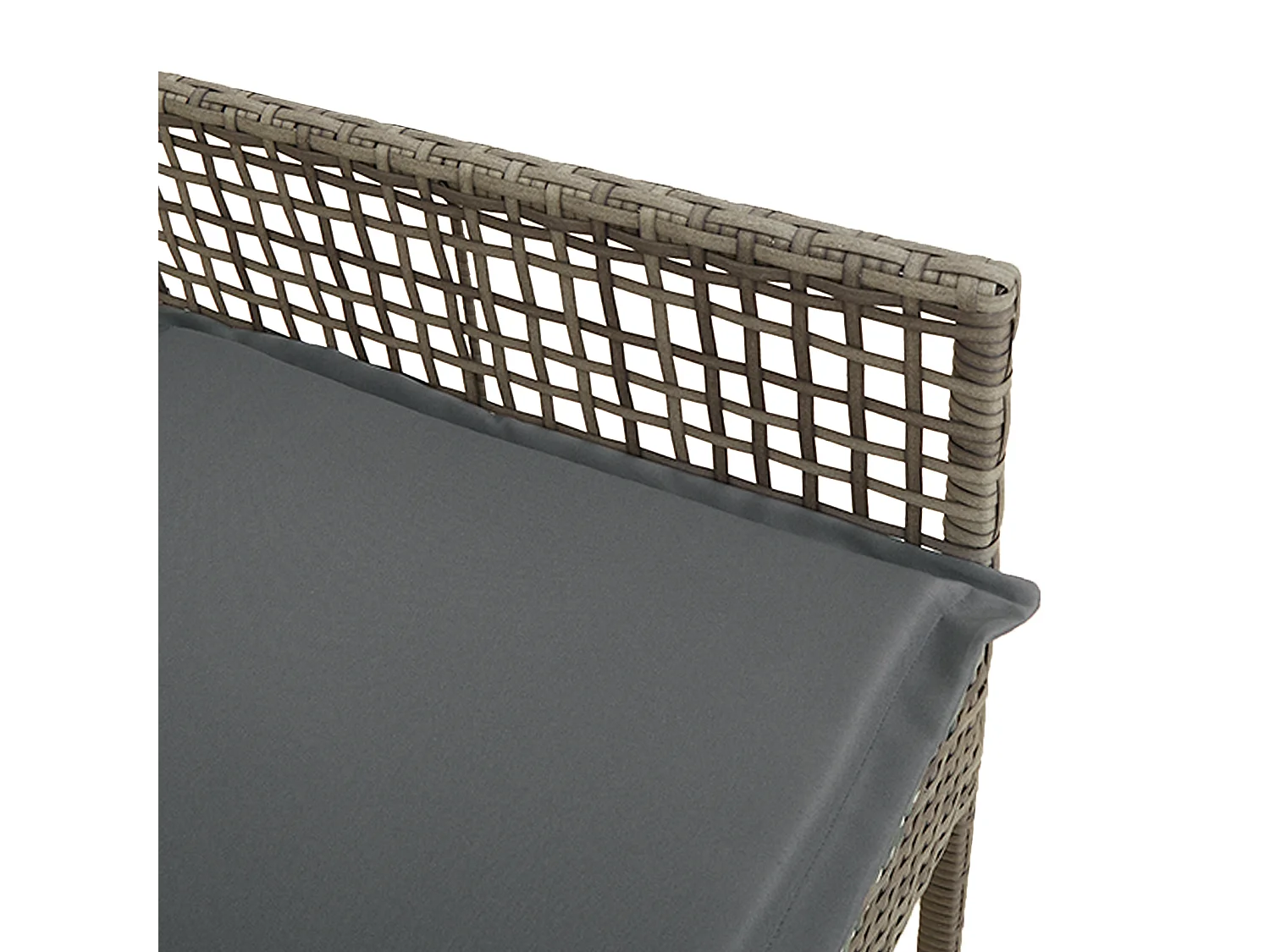 Chaises de jardin 2 pcs avec coussins gris en poly rattan