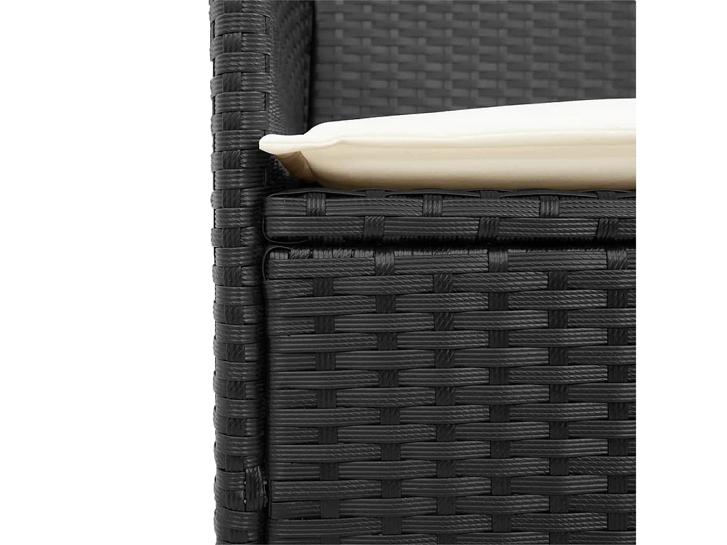 Chaises de jardin coussins lot de 2 noir résine tressée et bois