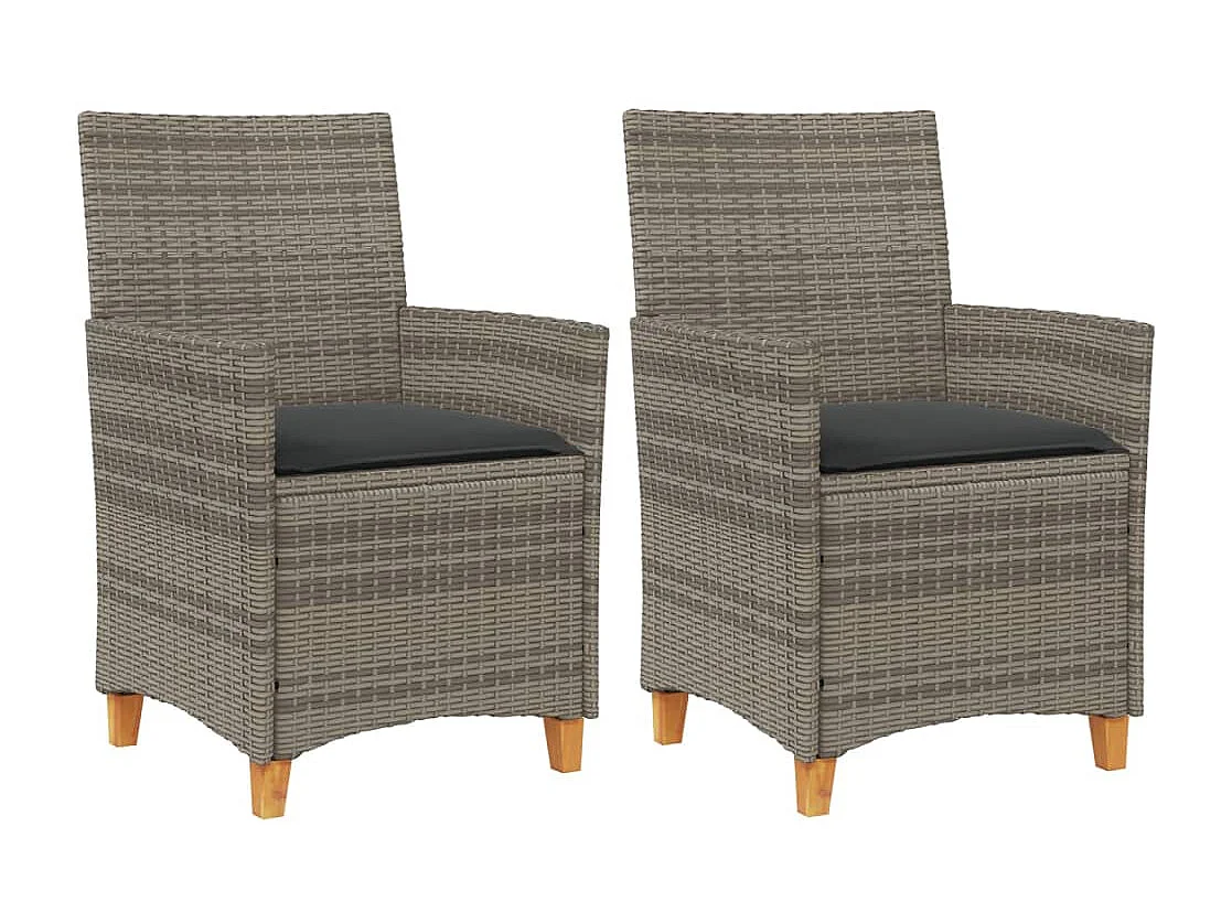 Chaises de jardin coussins lot de 2 gris résine tressée et bois