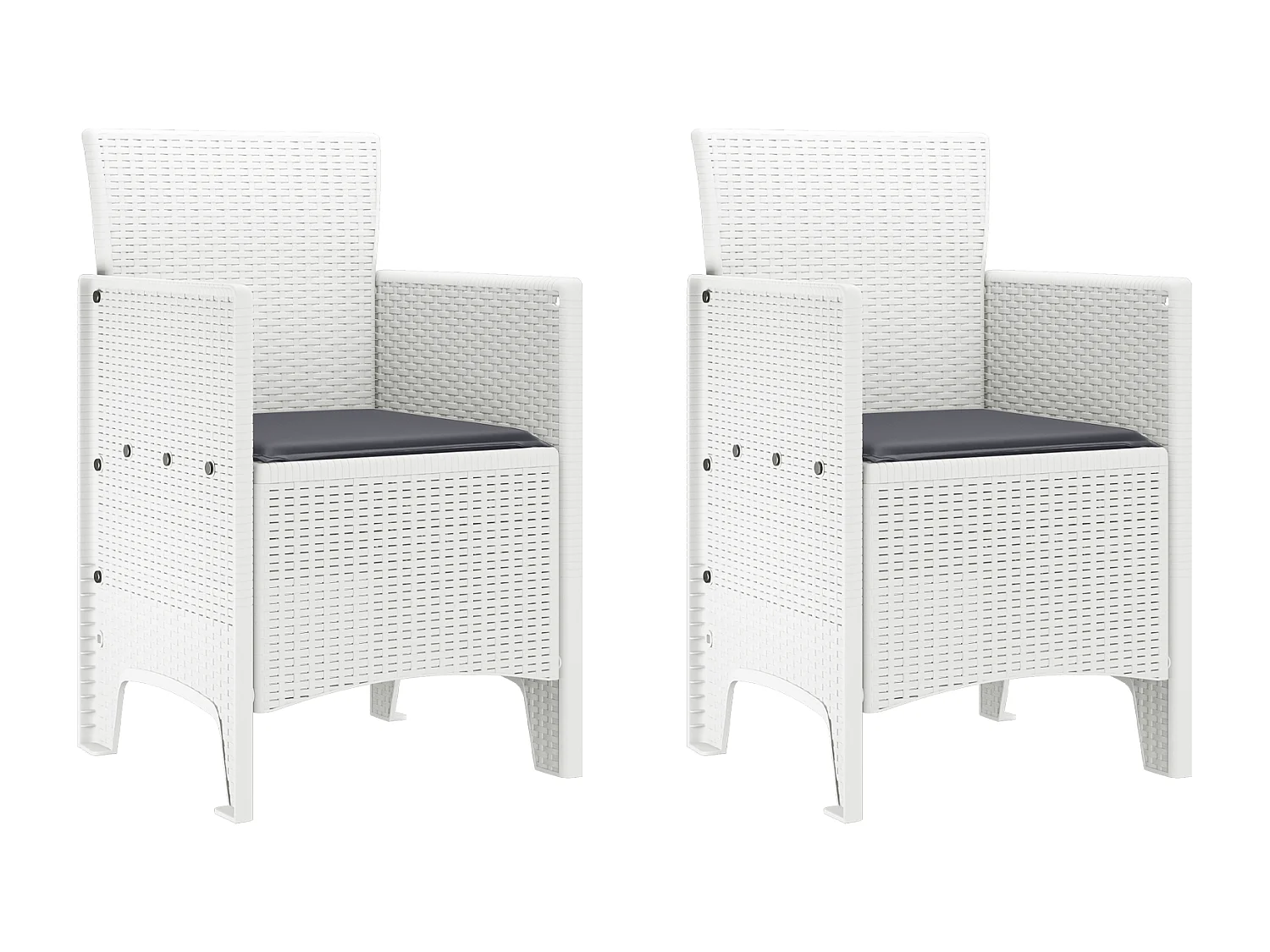 Tuinstoelen met kussens 2 stuks wit polyrotan