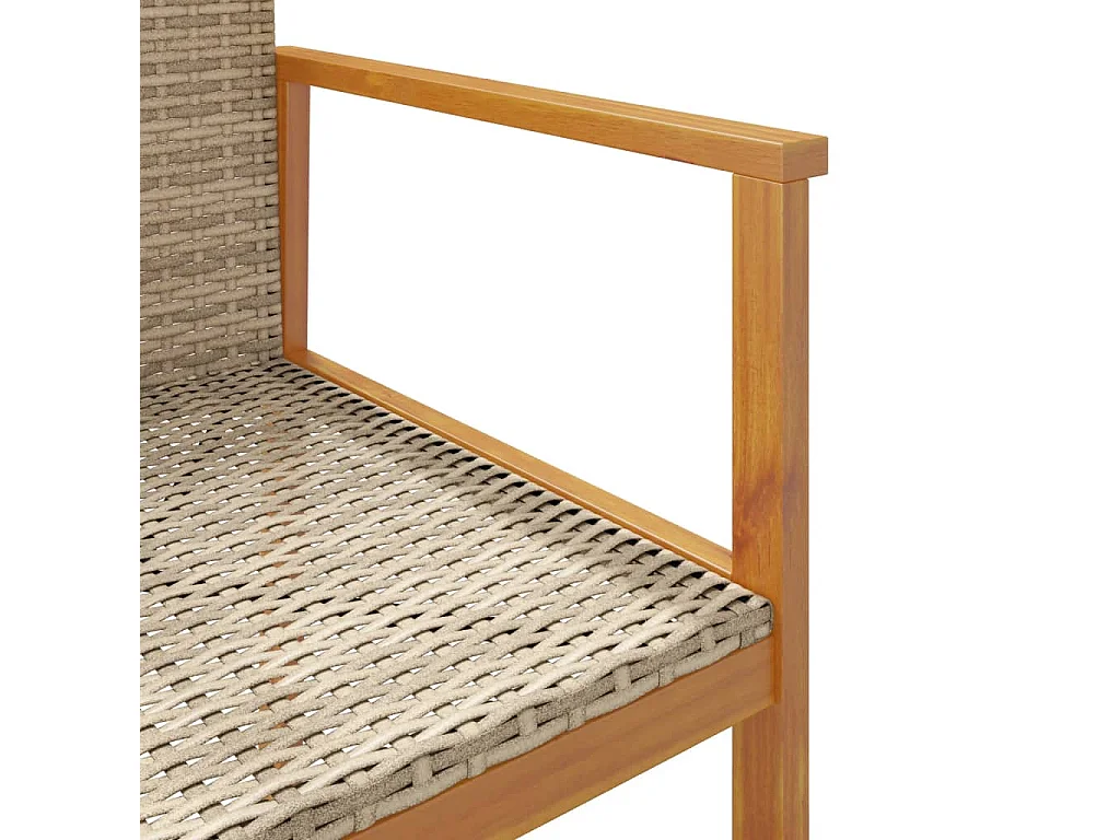 Chaises de jardin lot de 2 beige résine tressée et bois massif