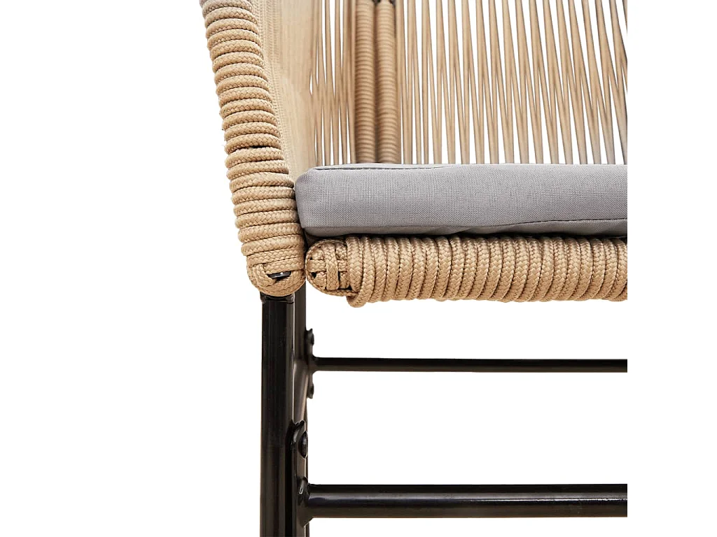 Set van 2 tuinstoelen en bruine rotan kussens