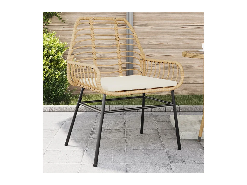 Set van 2 tuinstoelen en bruine rotan kussens