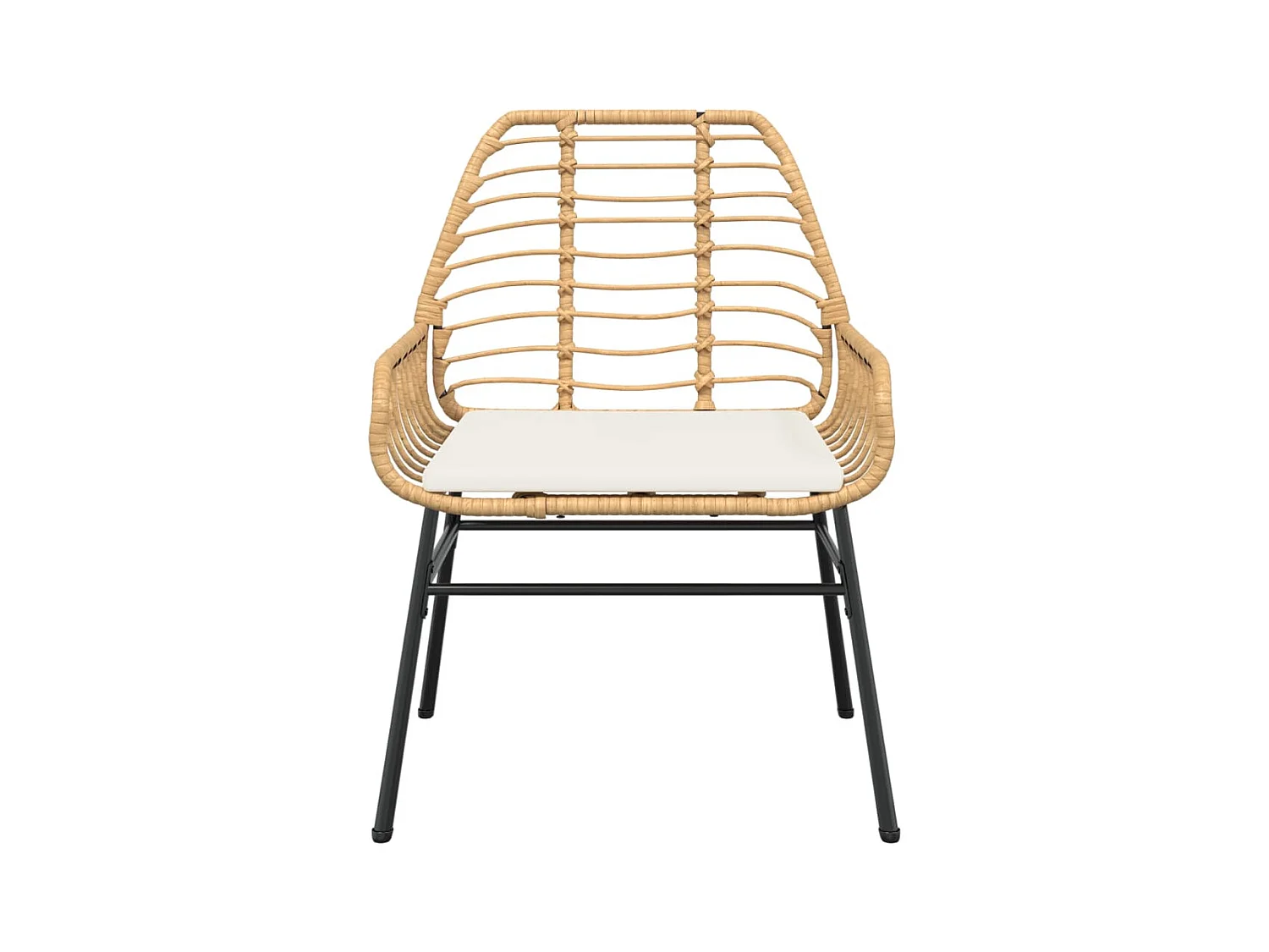 Set van 2 tuinstoelen en bruine rotan kussens