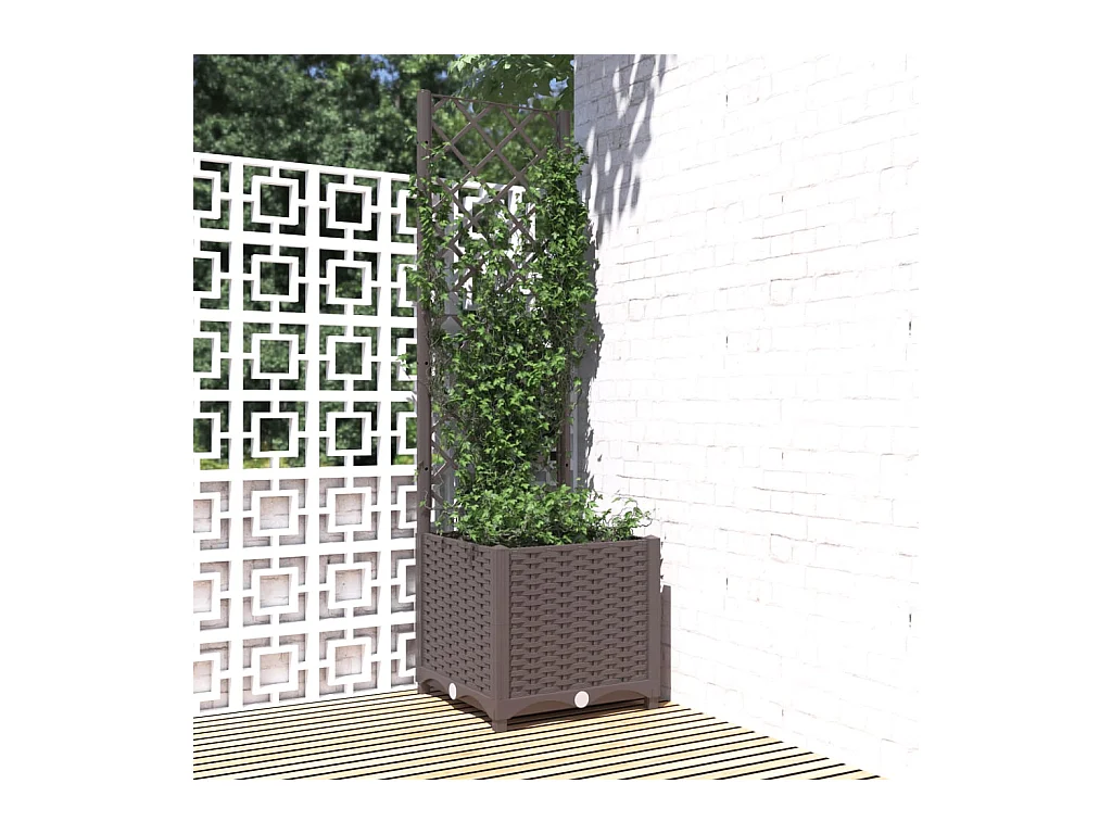 Fioriera con traliccio Marrone 40x40x136 cm PP