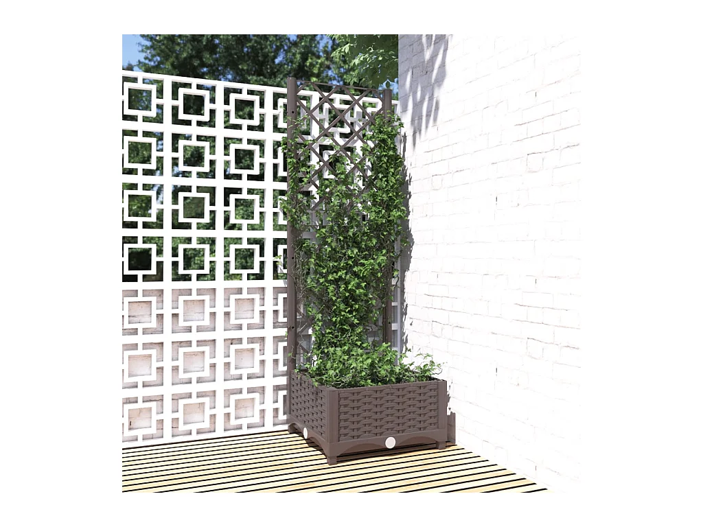 Jardinière avec treillis Marron 40x40x121,5 cm PP