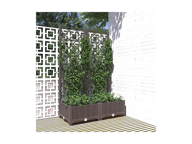 Jardinière avec treillis Marron 80x40x121,5 cm PP