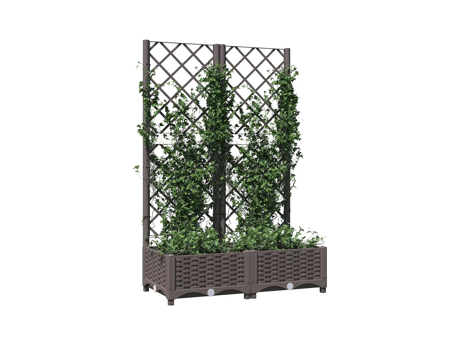 Plantenbak met trellis Bruin 80x40x121,5 cm PP