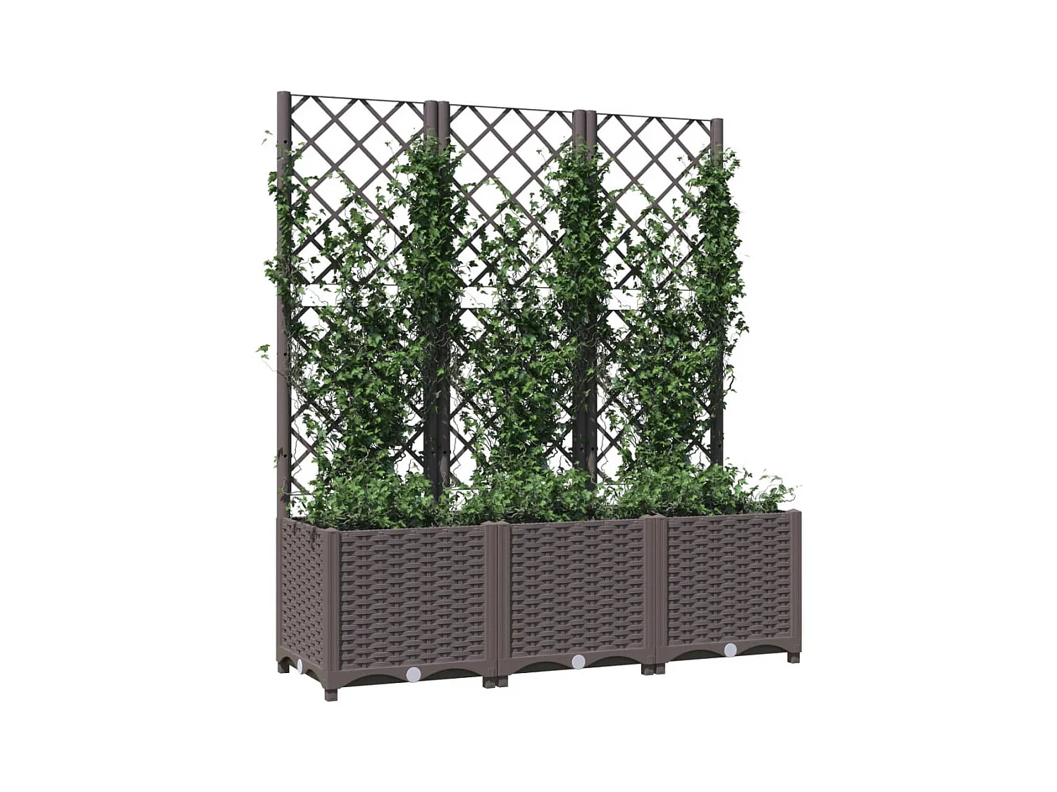 Jardinière avec treillis Marron 120x40x136 cm PP