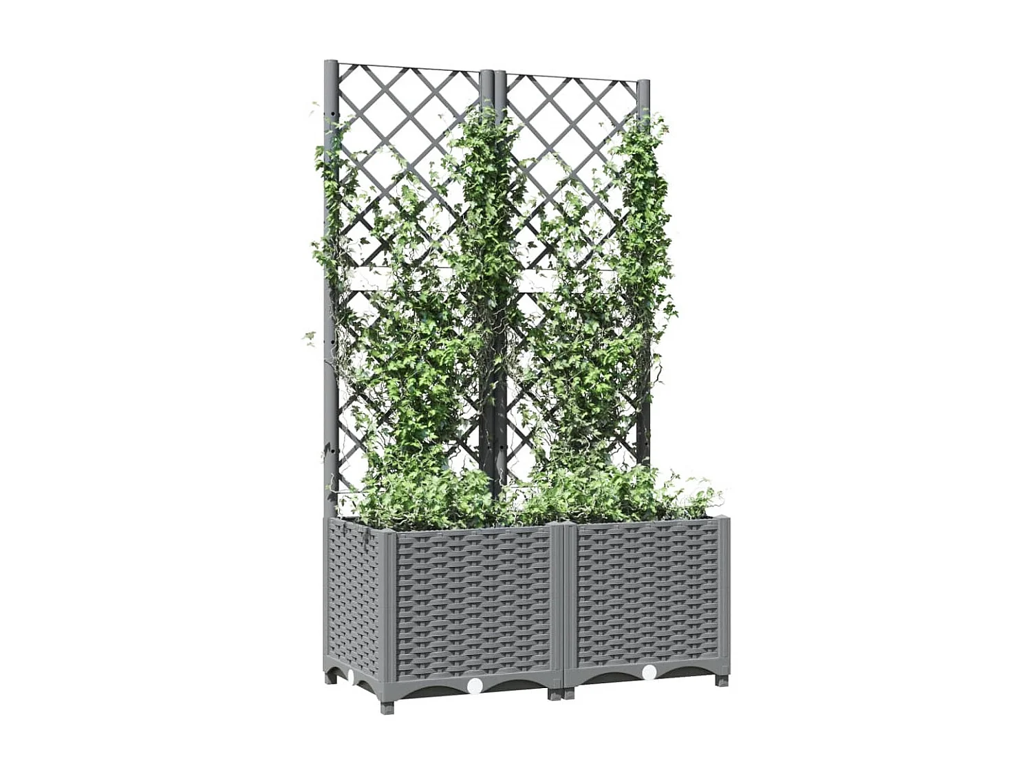 Jardinera con enrejado Gris claro 80x40x136 cm PP