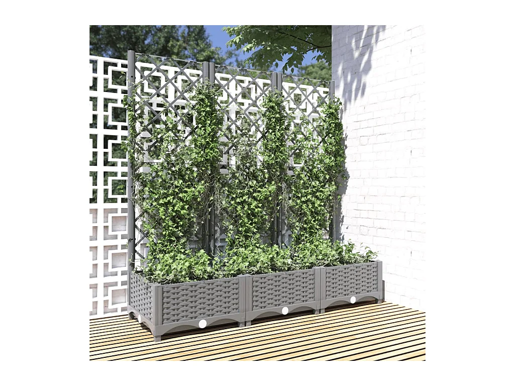 Fioriera con traliccio Grigio chiaro 120x40x121,5 cm PP