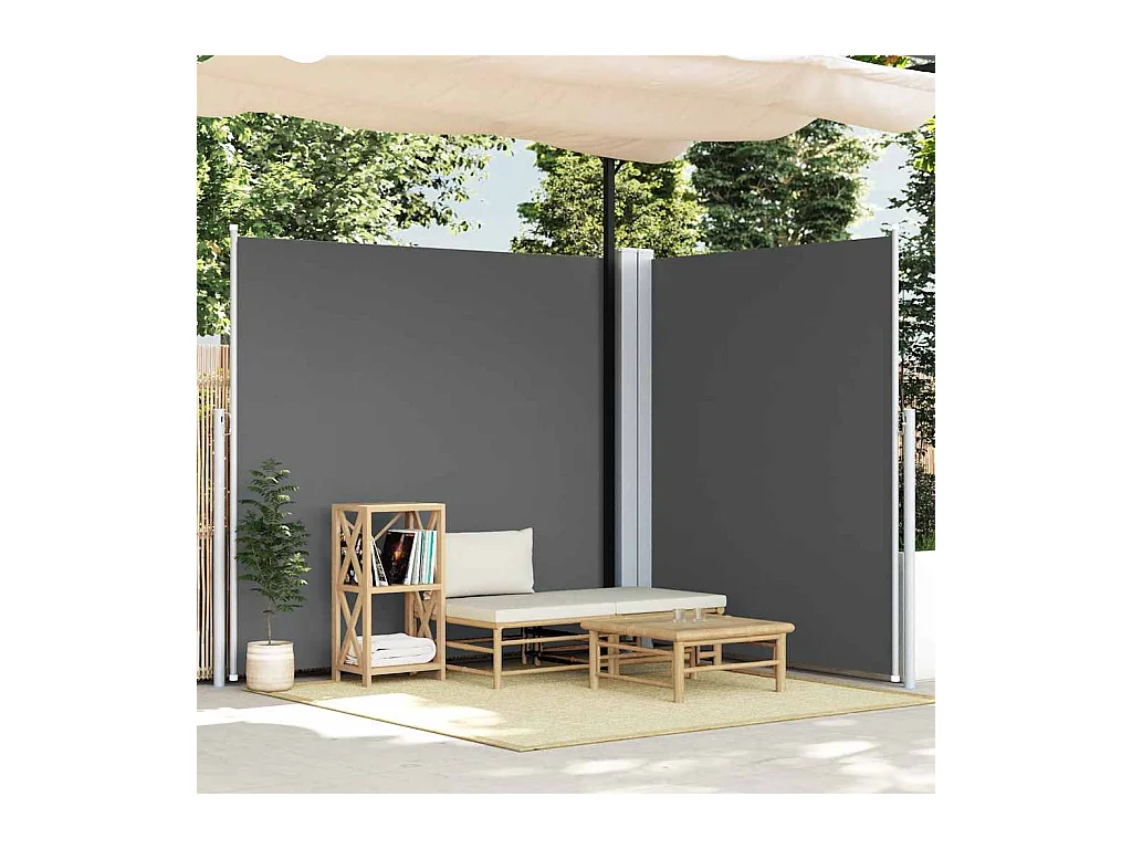 Auvent latéral rétractable Anthracite 220x600 cm