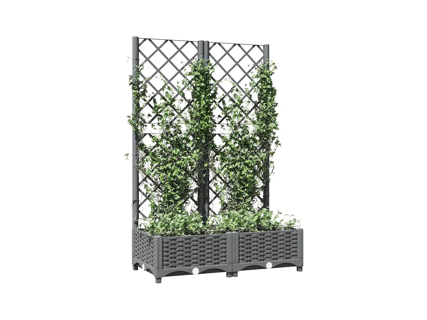 Jardinera con enrejado Gris claro 80x40x121,5 cm PP