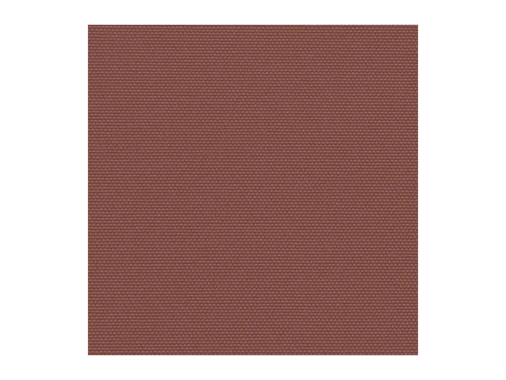 Auvent latéral rétractable marron 160x600 cm