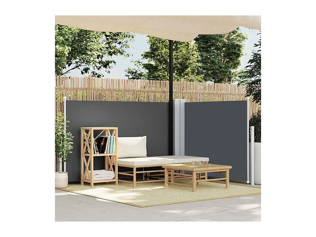 Auvent latéral rétractable Anthracite 120 x 600 cm