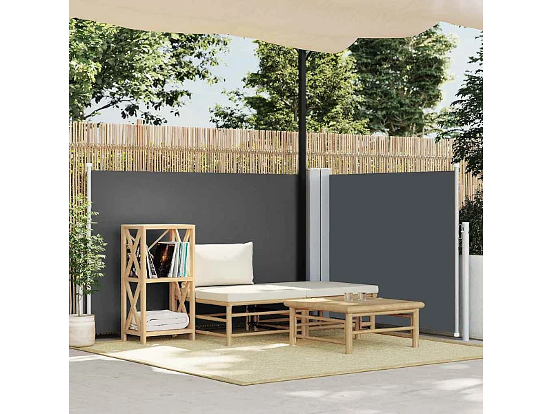 Auvent latéral rétractable Anthracite 120 x 600 cm