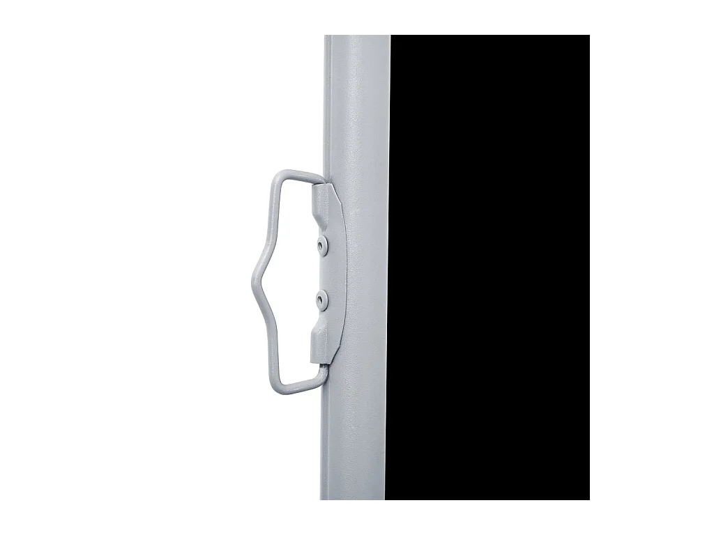 Auvent latéral rétractable Noir 140x600 cm