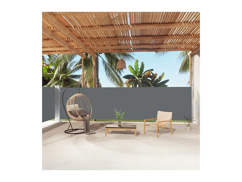 Auvent latéral rétractable Anthracite 160x1000 cm